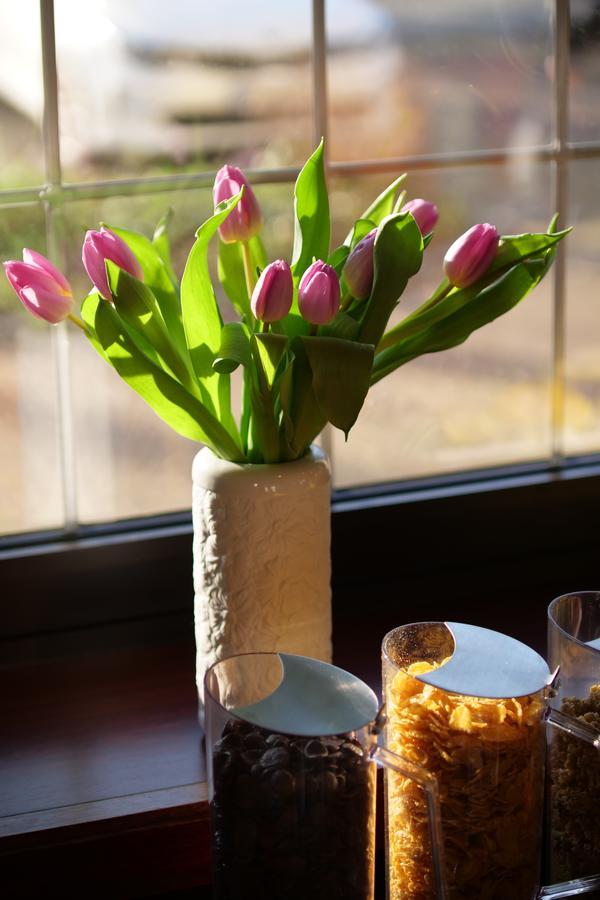 Parkhotel Bergheim Bergheim  Zewnętrze zdjęcie